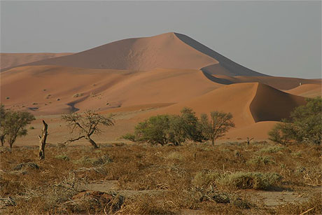 Les dunes de Sossusvlei