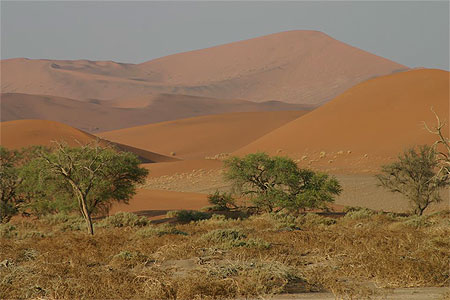 Les dunes de Sossusvlei