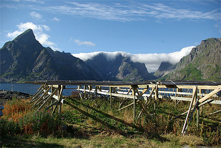 Paysage dans les Lofoten