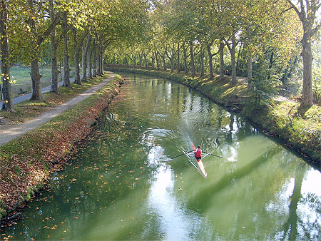 En aviron sur le Canal du Midi
