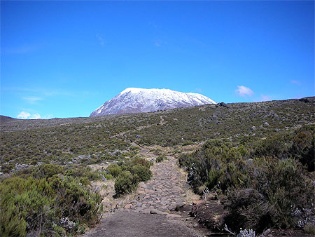 Kilimandjaro