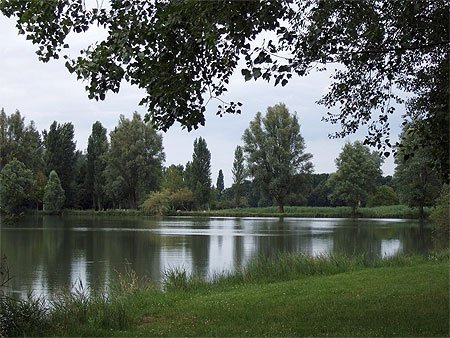 Etang du Poitou.