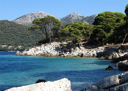 Baignade � l'ombre � Ubli