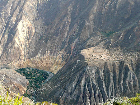 Canyon du Colca