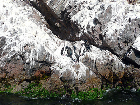 Iles Ballestas