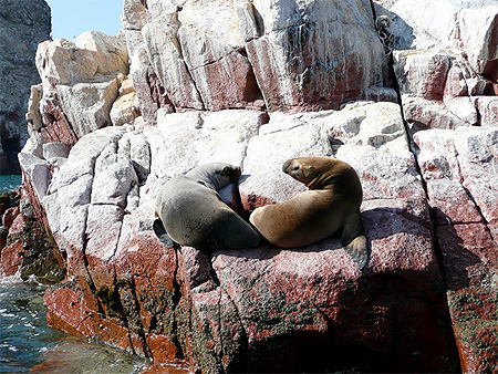 Iles Ballestas