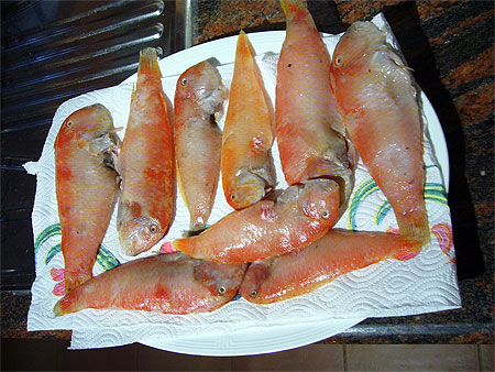 Poisson rao