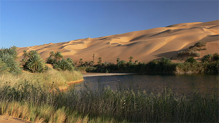Oasis (Ubari)