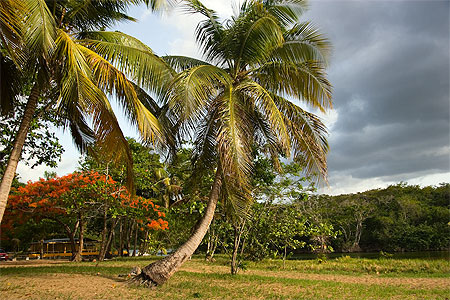 Plage de Grande Anse