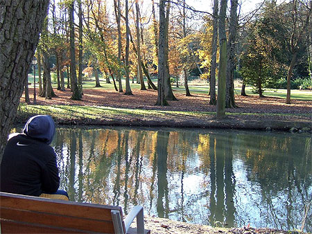 Automne � Jou� les Tours