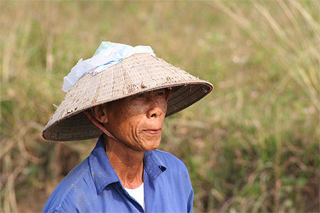 Laboureur vietnamien