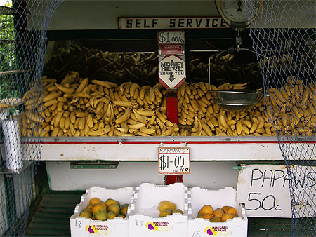 Banana shop