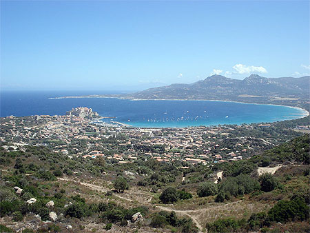 Calvi