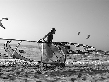 Windsurfer