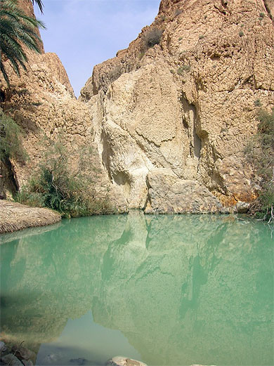 Chebika (Oasis de montagne)