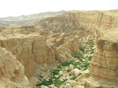 Canyon � proximit� de Tamerza