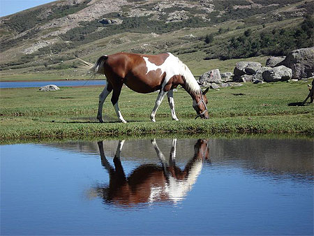 Le lac de Nino