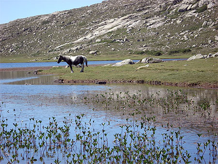 Un endroit magique, le lac de Nino