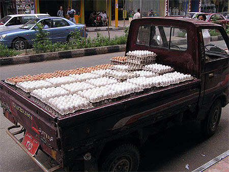 Attention les oeufs 