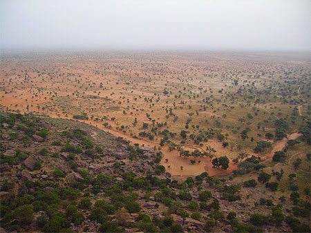 Plaine en pays dogon