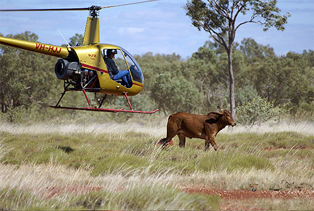 Fermiers Australiens ...