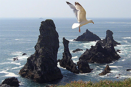 Belle Ile