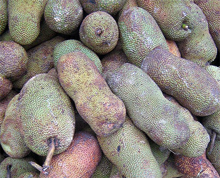 Durian forever