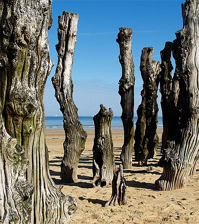 Plage