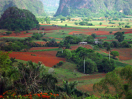 Vinales