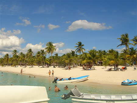 �le de Catalina