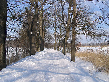 Le chemin des �tangs