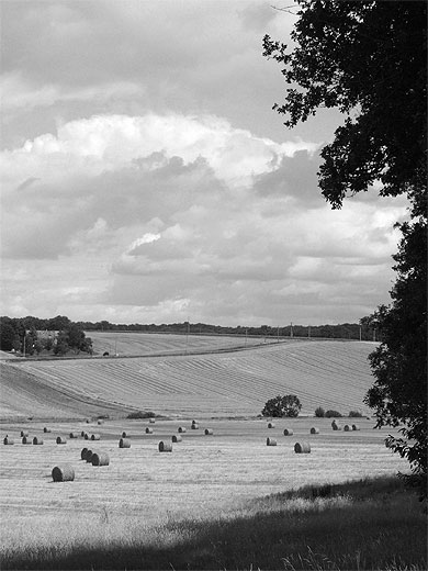 Campagne tourangelle
