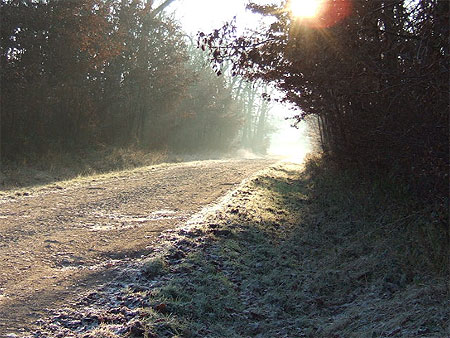 Premiers frimas en Touraine