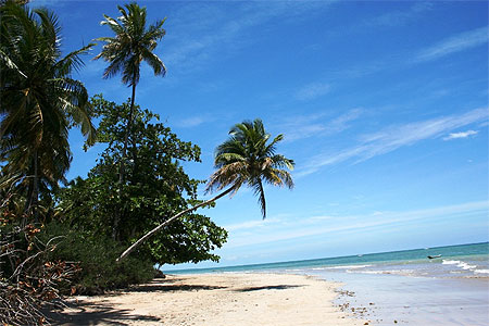 Plage au Br�sil