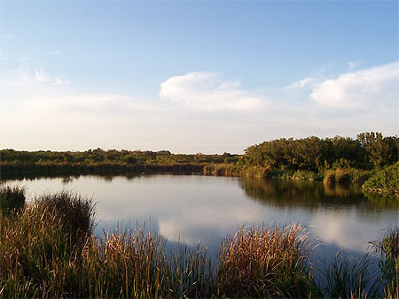 Lac aux Everglades