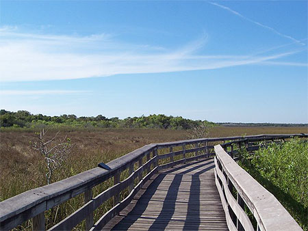 Promenade aux Everglades