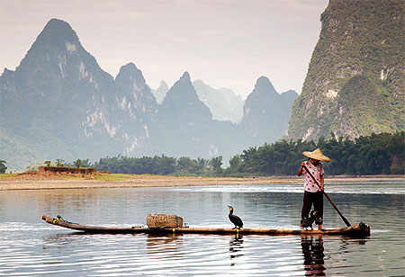 2 cormorans