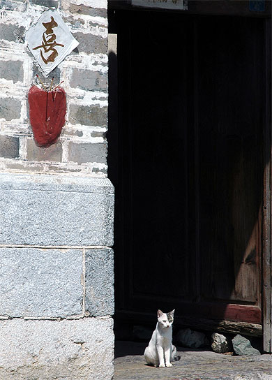 Chat