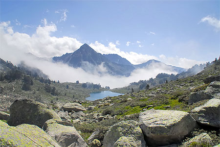 Cache col