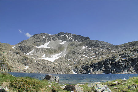 Lac surprise