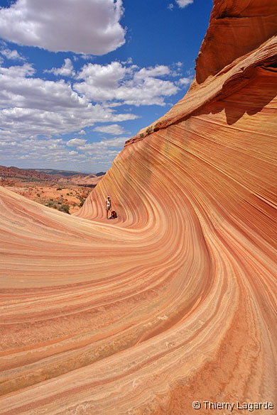 The wave