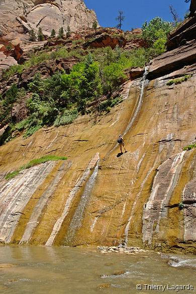 Virgin narrows