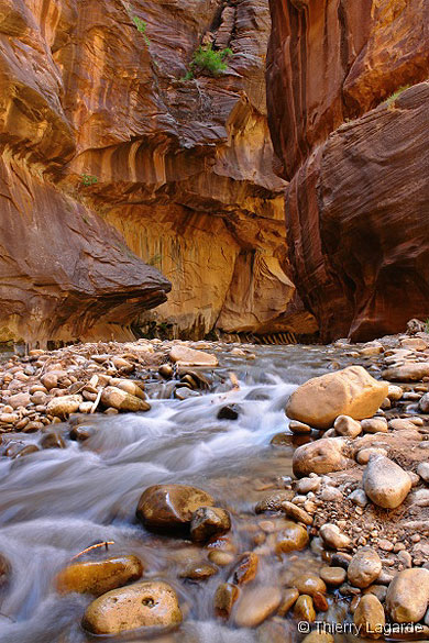 Virgin narrows