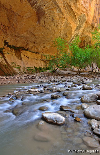 Virgin narrows
