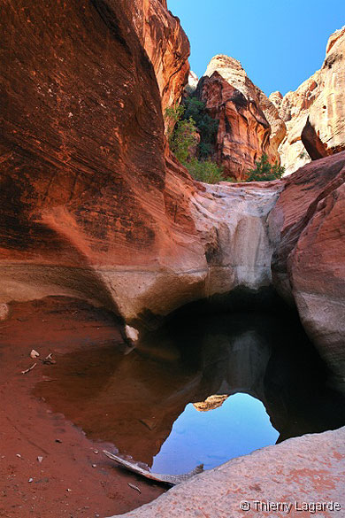 Red cliffs