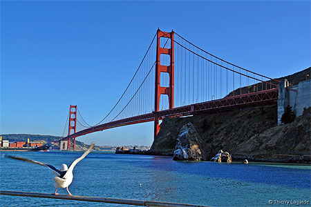 Golden gate