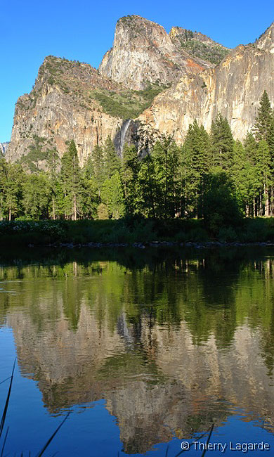 Reflections