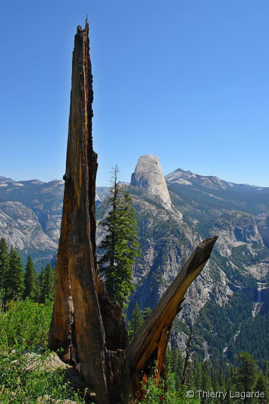 Half dome