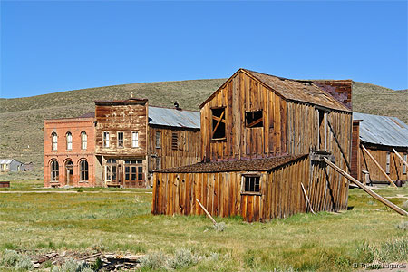 Bodie