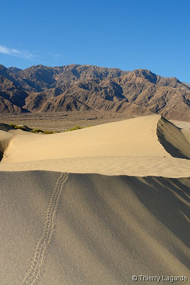 Dunes